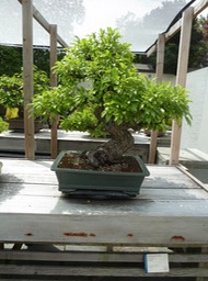 P1050985