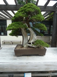 P1050988