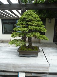 P1050989
