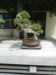 P1050991