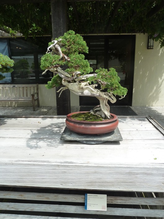 P1050991