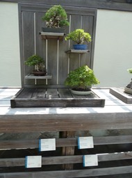 P1050993