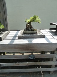 P1050994