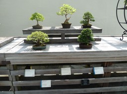 P1050995