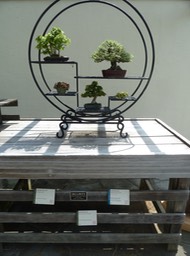 P1050996
