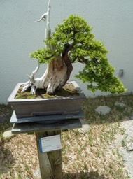P1050998