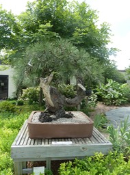P1060002