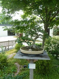 P1060003