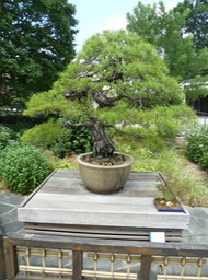 P1060005