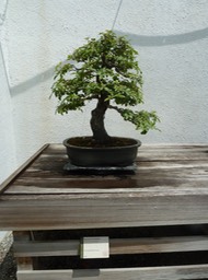 P1060006