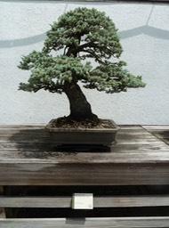 P1060007