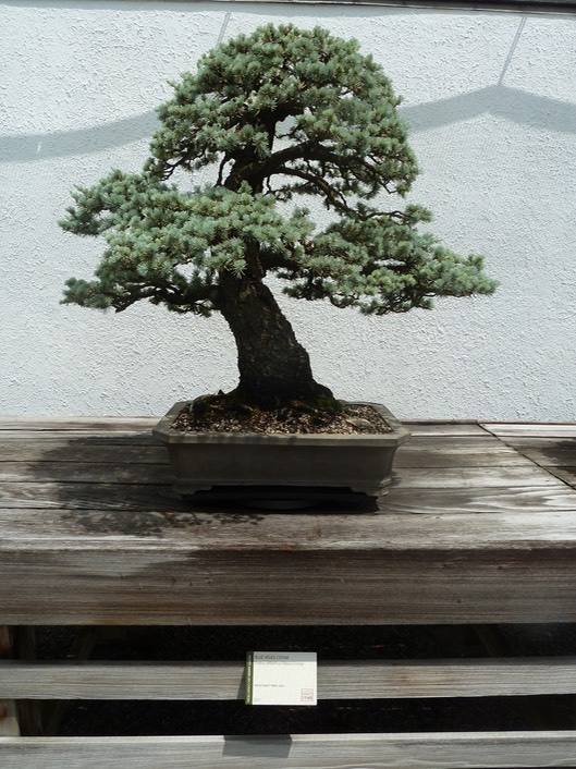 P1060007