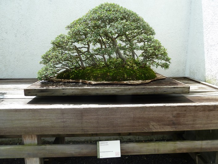 P1060010