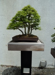 P1060014