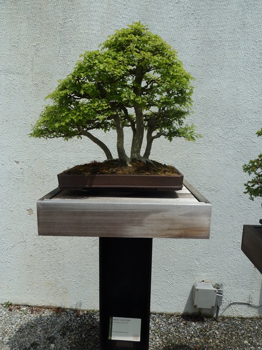 P1060014