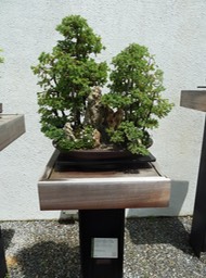 P1060015