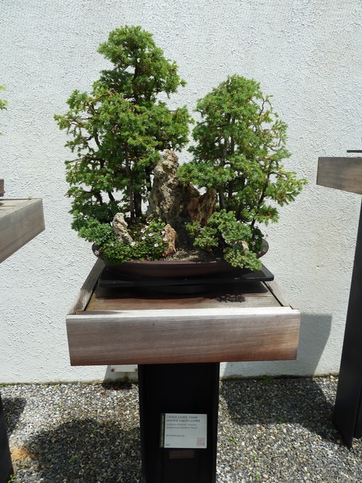P1060015