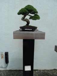 P1060016