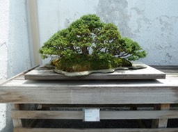 P1060018