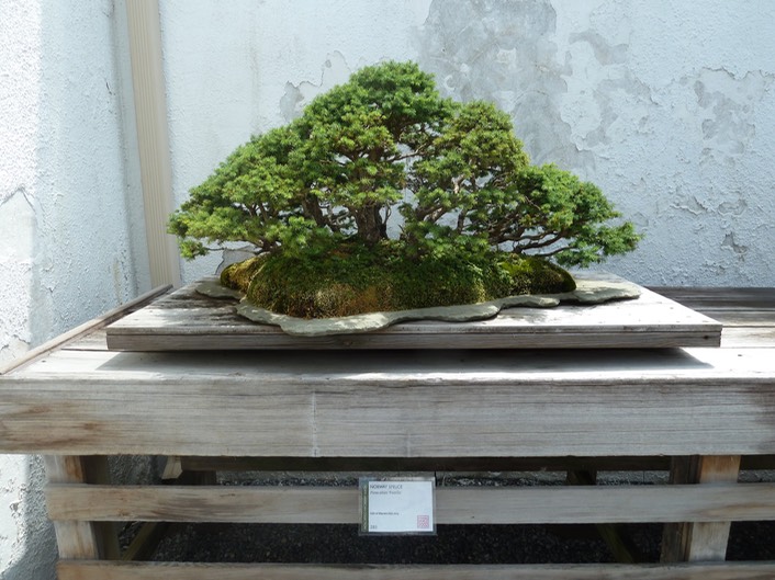 P1060018