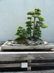 P1060020