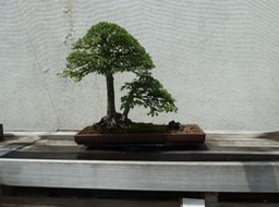 P1060022