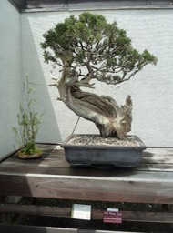 P1060024