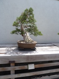 P1060026