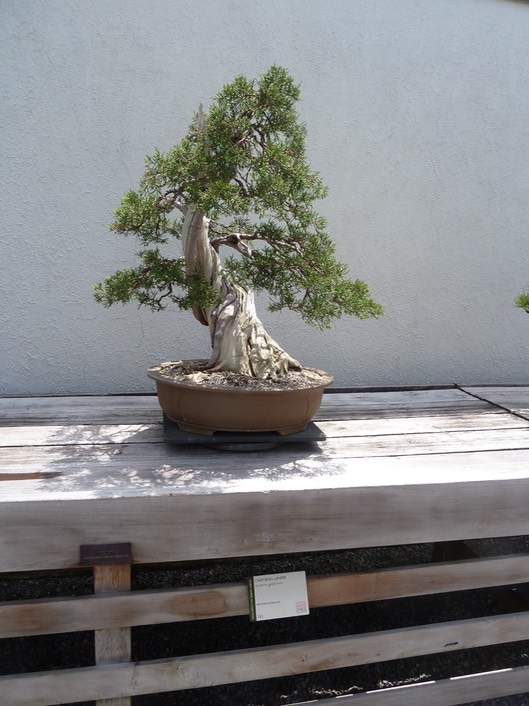 P1060026