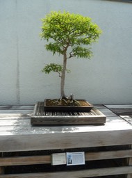 P1060028