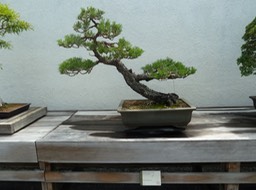 P1060029
