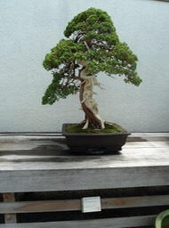 P1060030