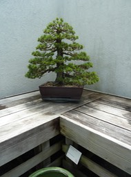 P1060031