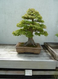 P1060035