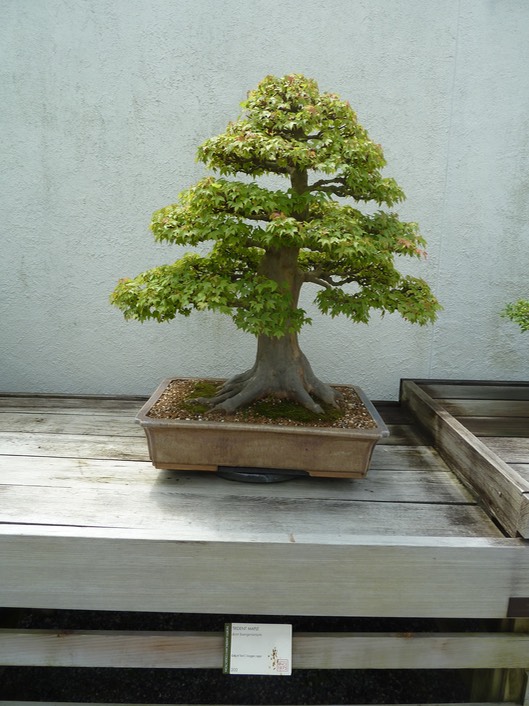 P1060035