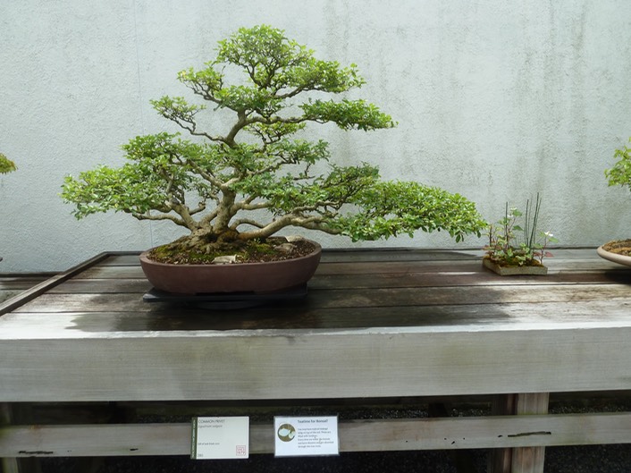 P1060036