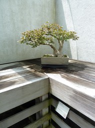 P1060040