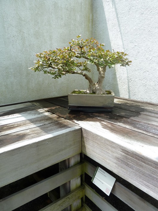 P1060040