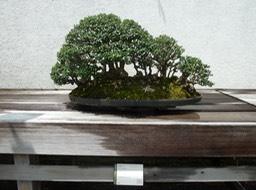 P1060041