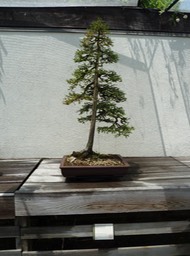 P1060042