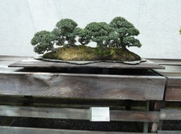 P1060043