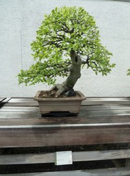 P1060044