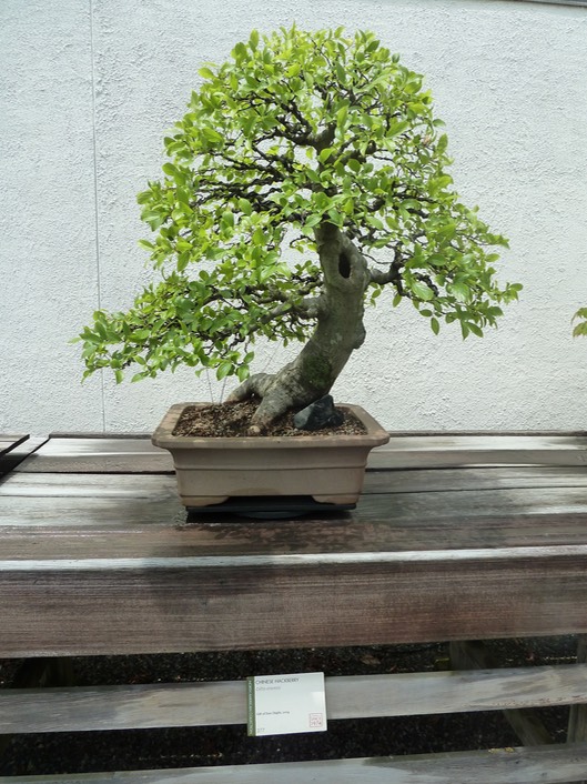 P1060044