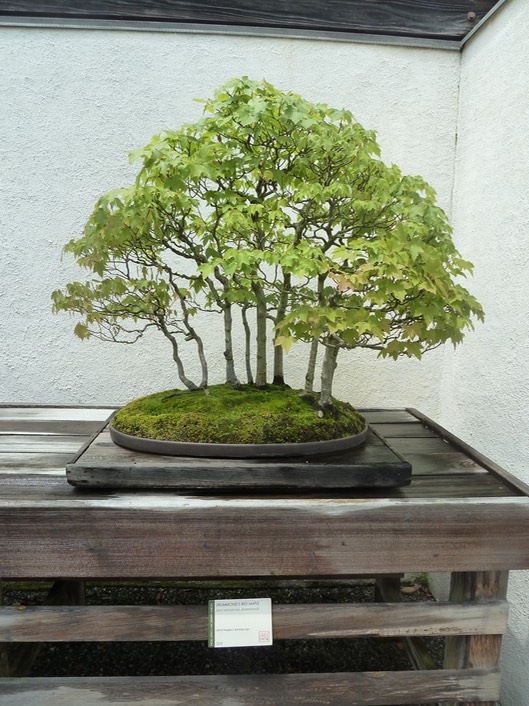 P1060045