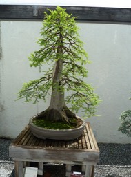 P1060048