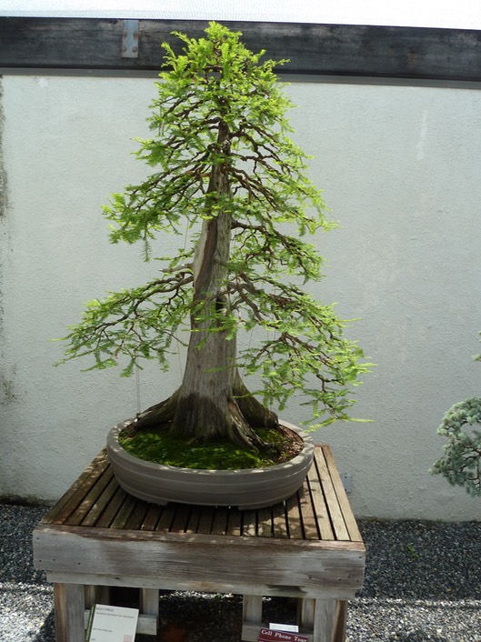 P1060048