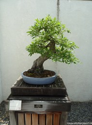 P1060049