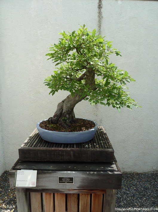 P1060049