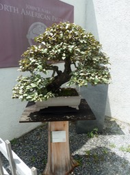 P1060050