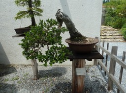 P1060052